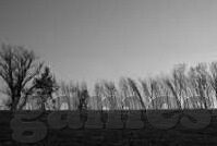 阿根廷小组赛世界杯-阿根廷小组赛世界杯，激情与遗憾的交织