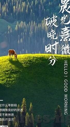 伊朗和巴林足球比分-伊朗VS巴林，一场跌宕起伏的绿茵对决，比分背后的故事更精彩